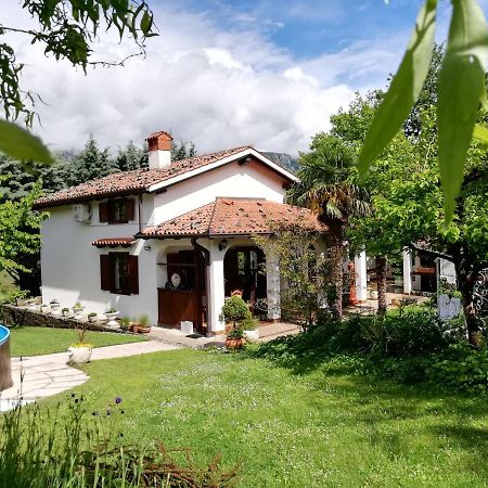 Apartment Slavi Випава Экстерьер фото