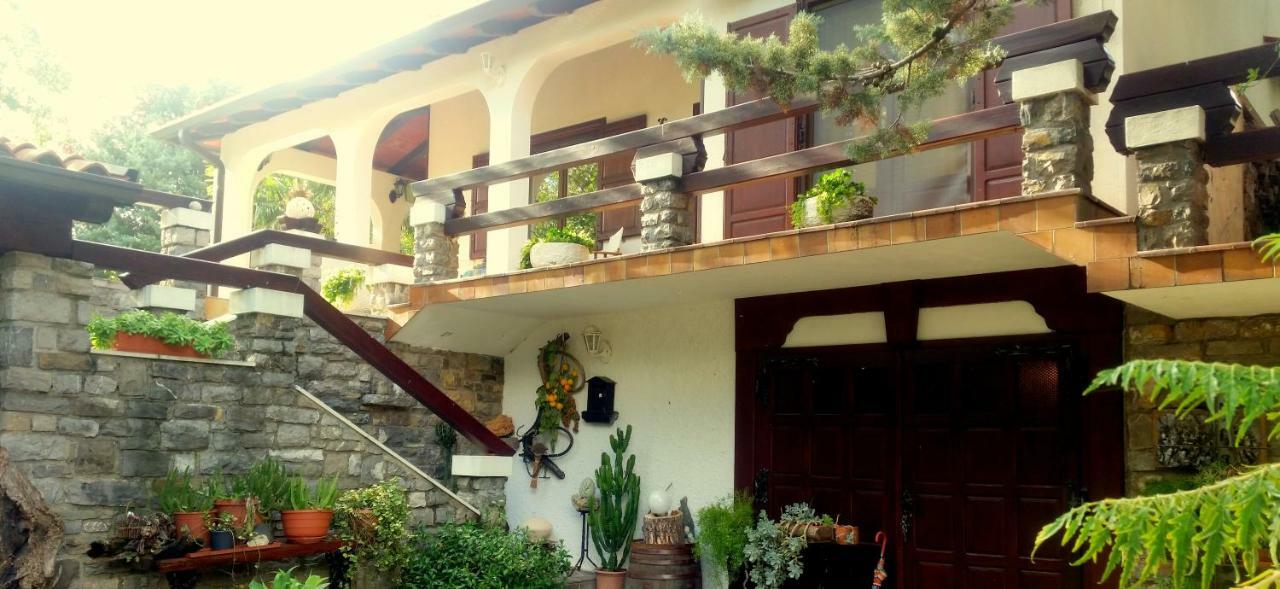 Apartment Slavi Випава Экстерьер фото